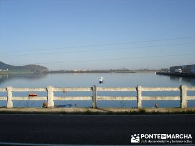 Marismas de Santoña (visita Ornitológica); escapadas madrid sierra; guias de senderismo